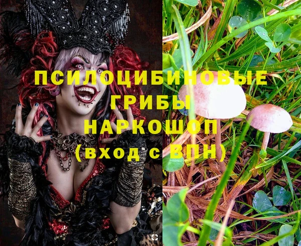 первитин Бородино