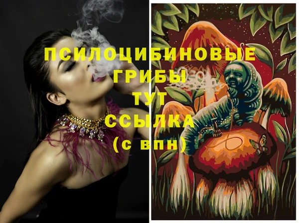первитин Бородино