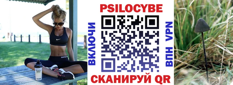 Псилоцибиновые грибы прущие грибы  даркнет сайт  Севастополь 
